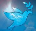 International Day of Peace - Your stories